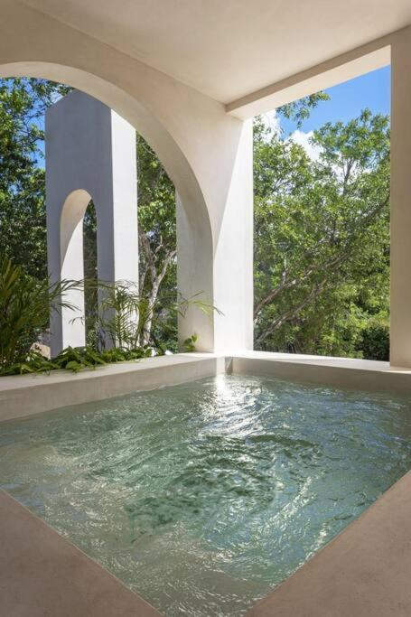 Newprivate Pool.200mb.#1 Rooftop Tulum