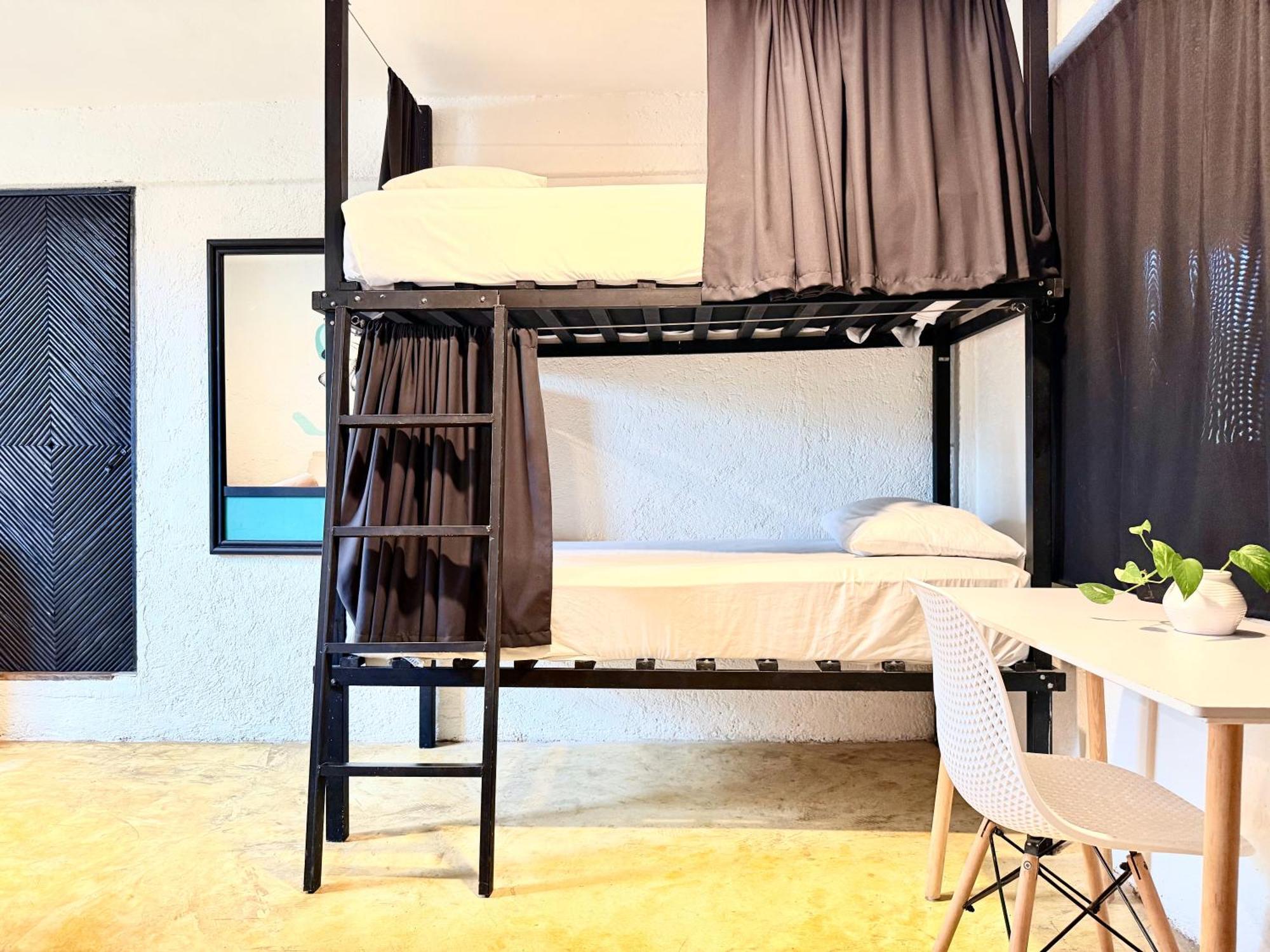 Oryx Hostel *