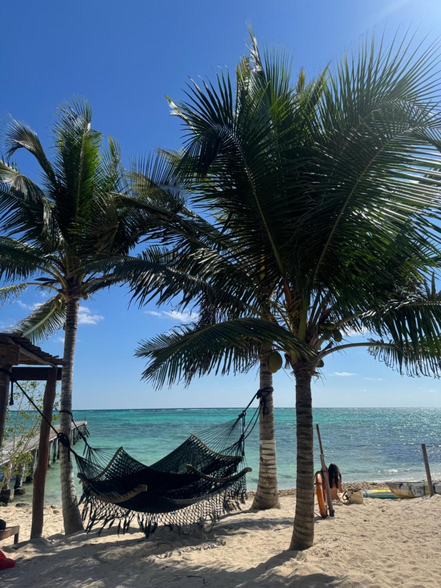 Nerea Tulum