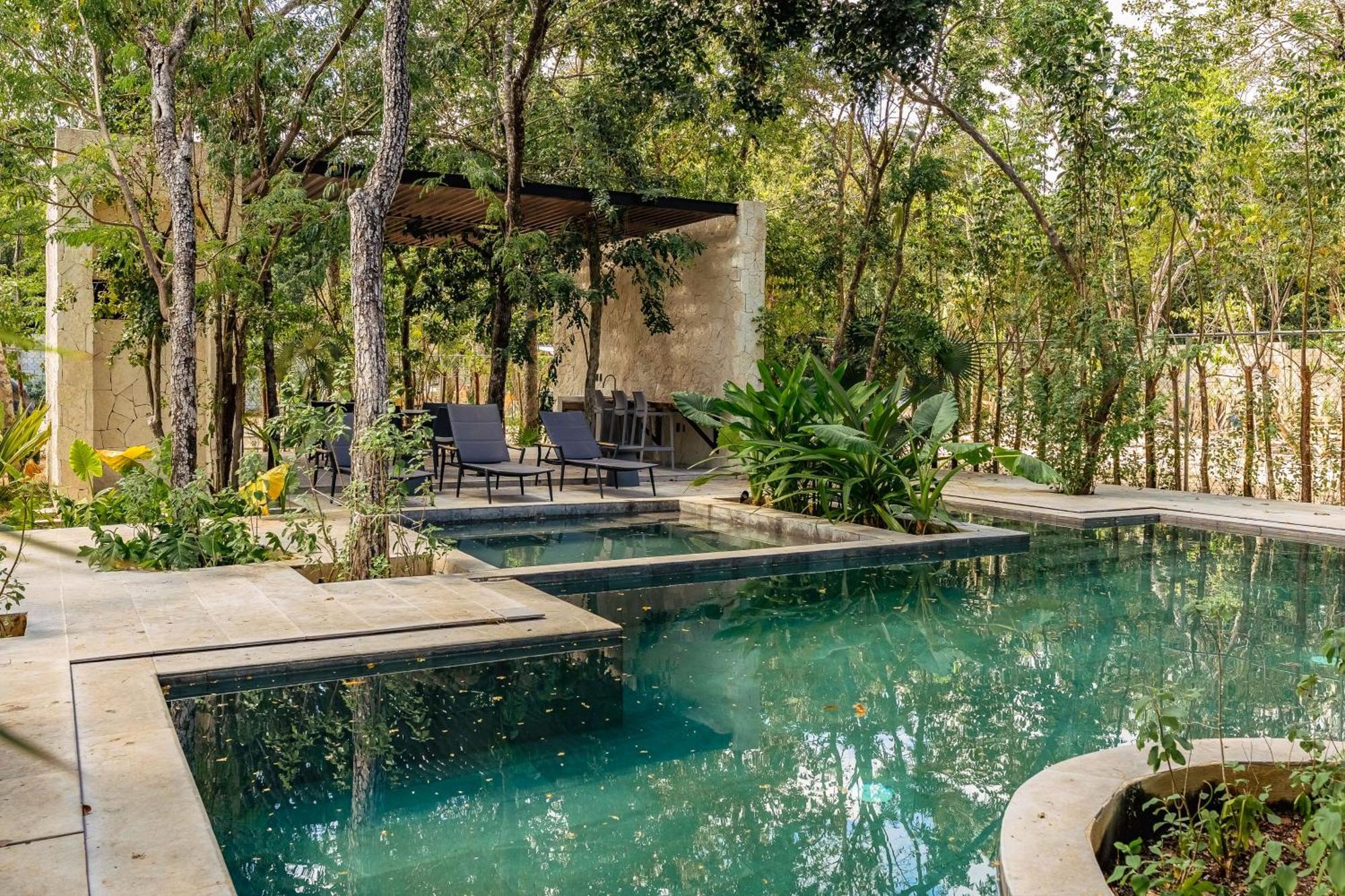 Apartment Jungle Serenity *