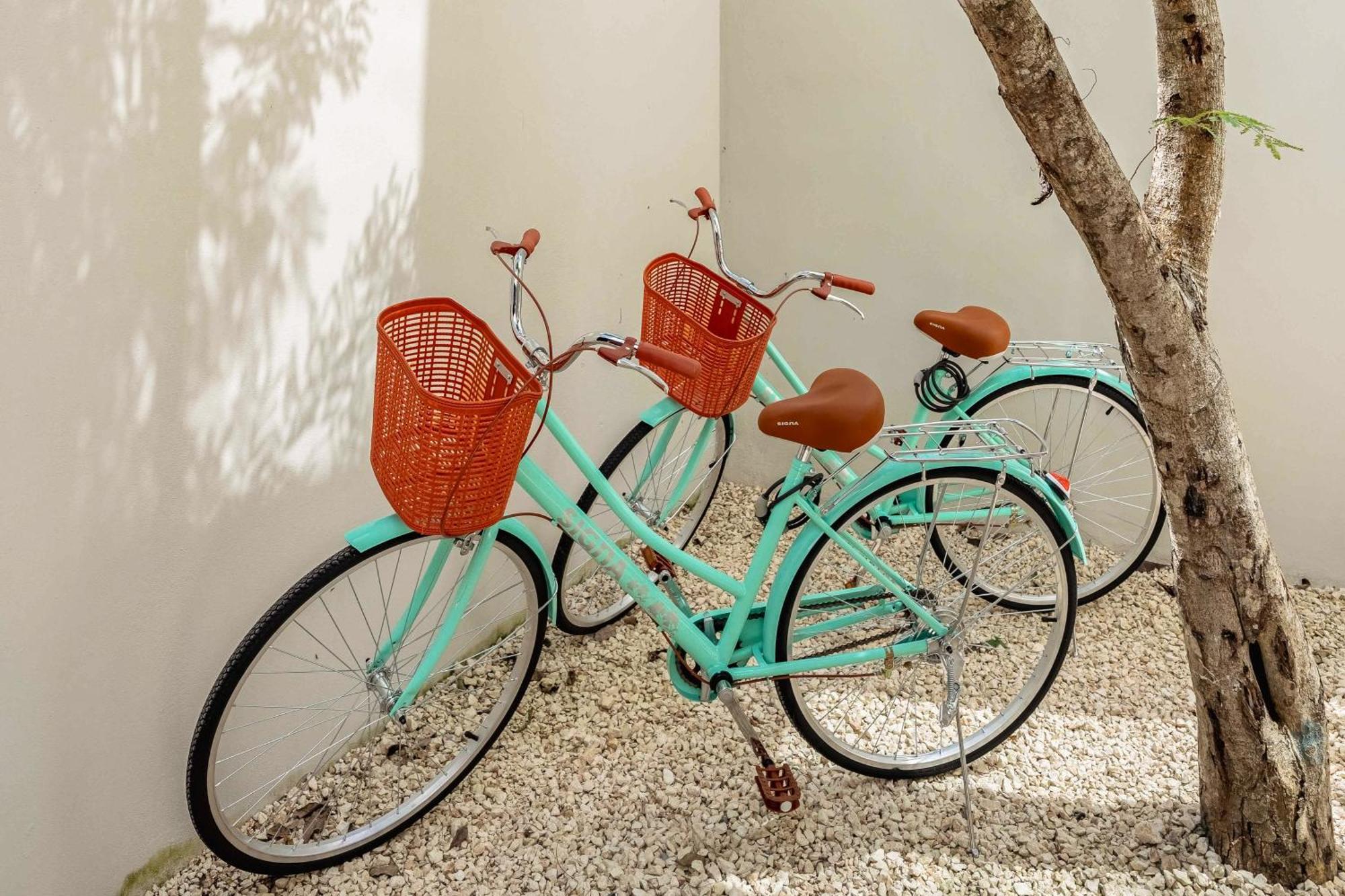 Jungle Serenity Apartment Tulum