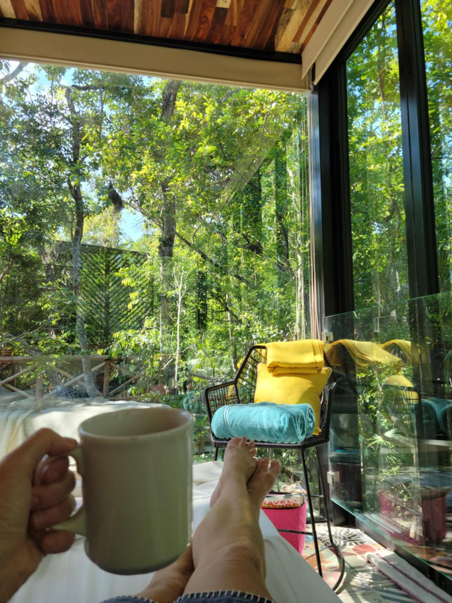 Reflective Jungle Treehouse With Plunge Pool Tulum