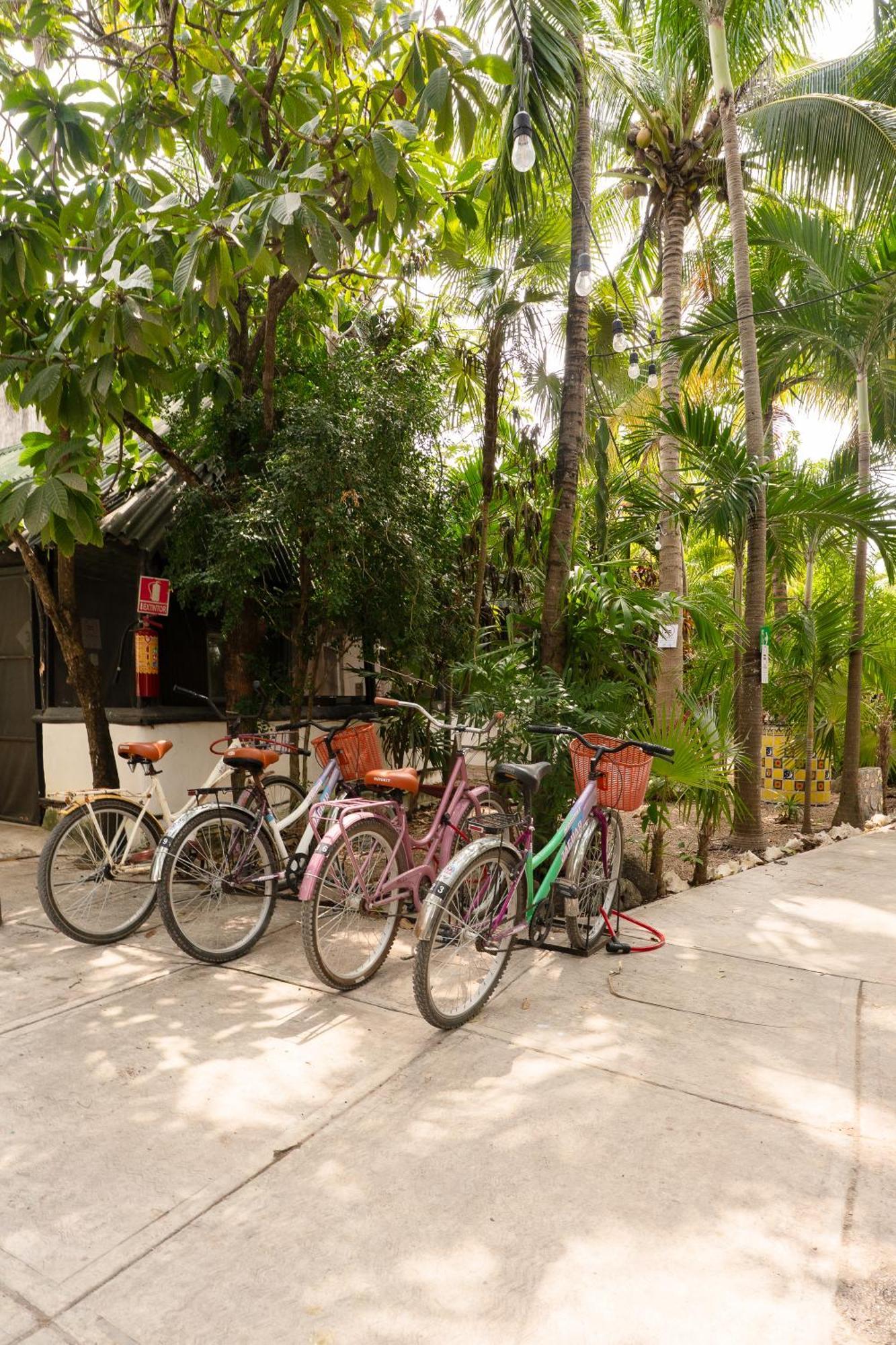 Oryx Hostel Tulum