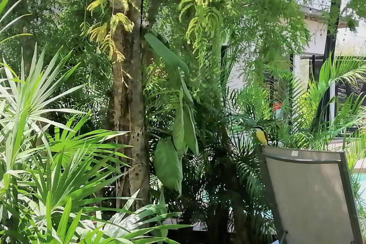 Office King Bed With Fast Wifi Gym Yoga Laundry Pools And Lift Tulum