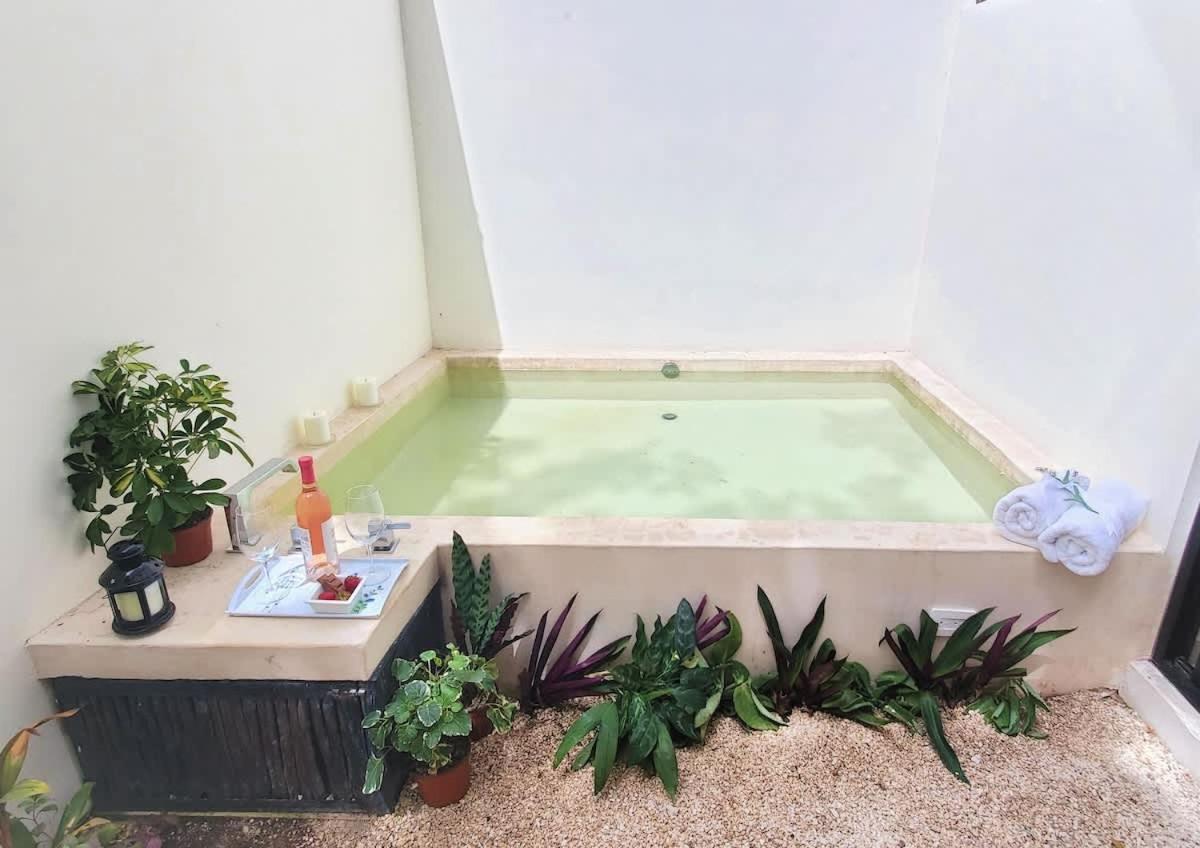 Private Jungle Cool Pool At Dk Dk 500 Mbps Wi-fi 3 Bikes King Bed Apartamento *