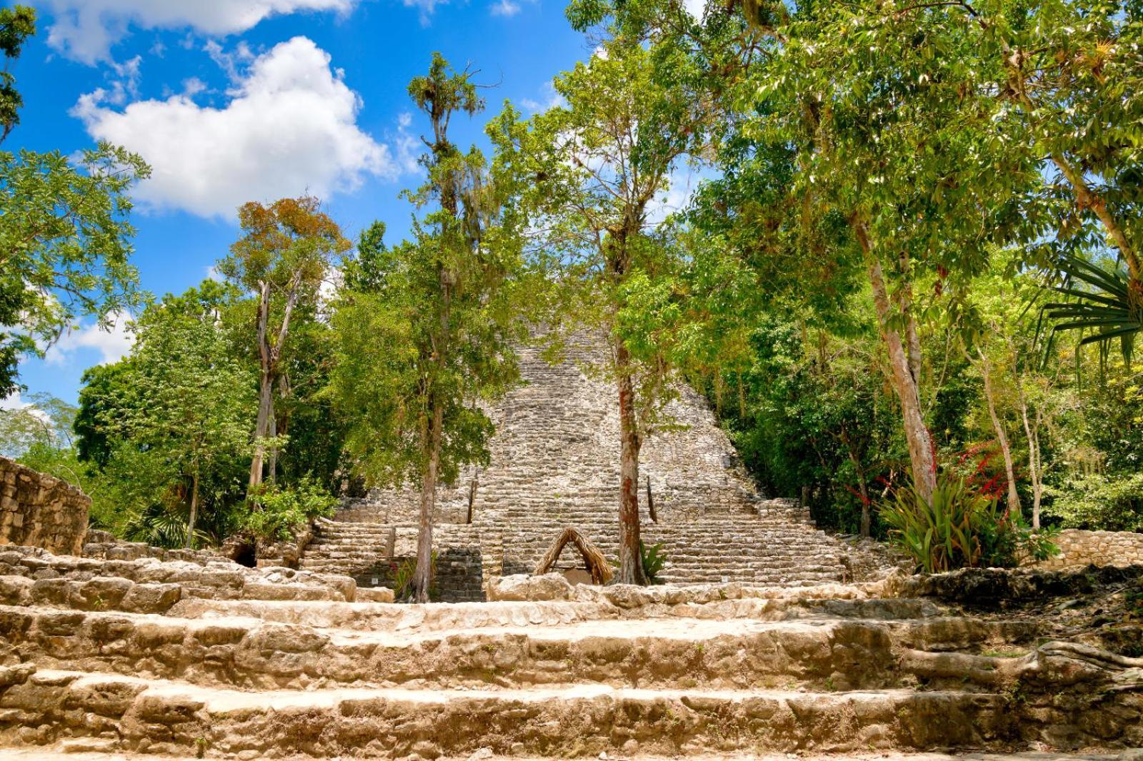 Canopy Cove Loft Private Jacuzzi Parking & B-club Apartamento Tulum