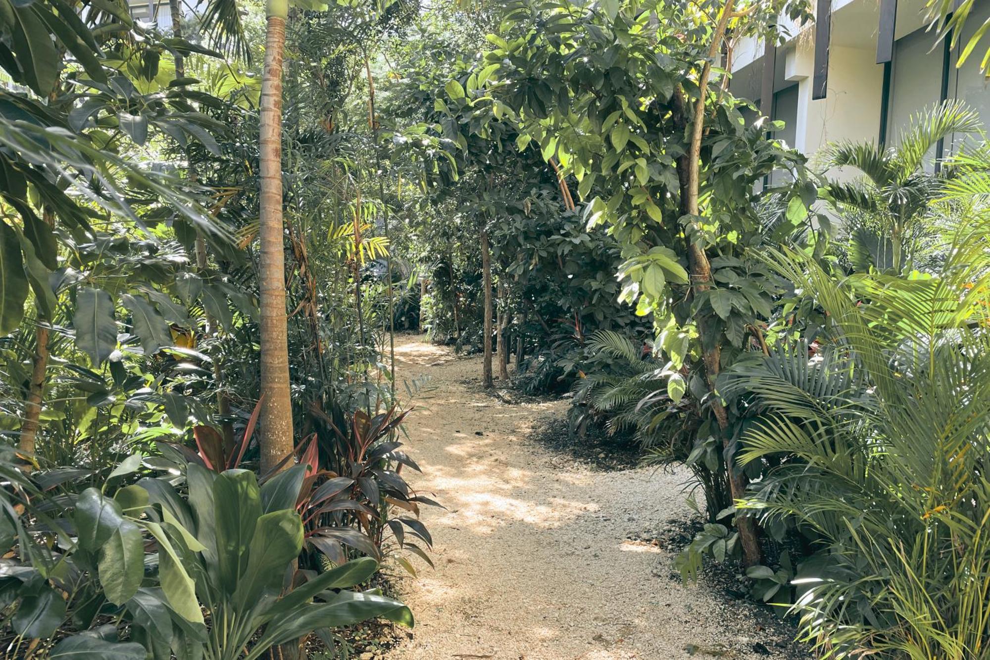 Apartamento Canopy Cove Loft Private Jacuzzi Parking & B-club