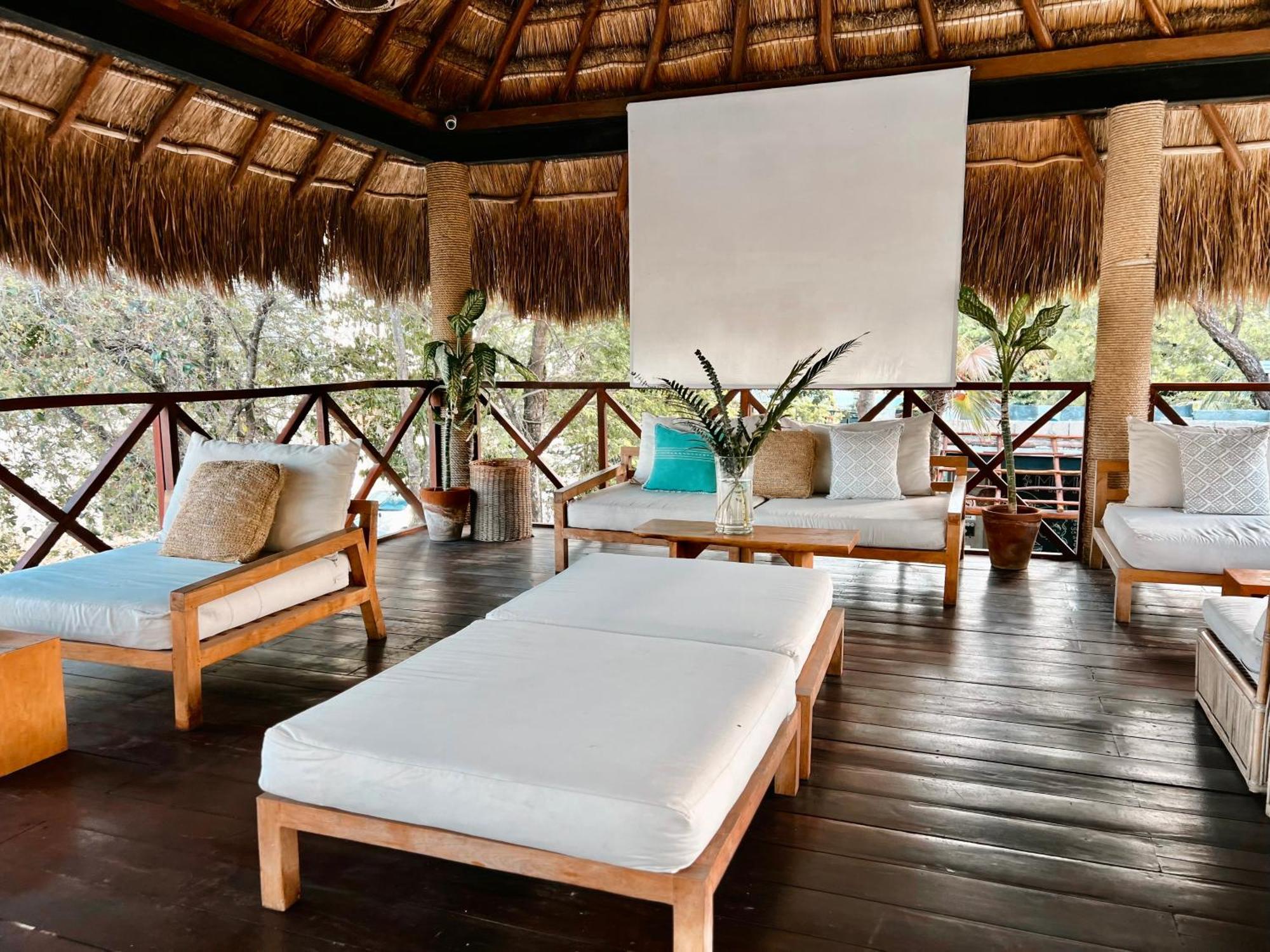 Mimosa Hostal *