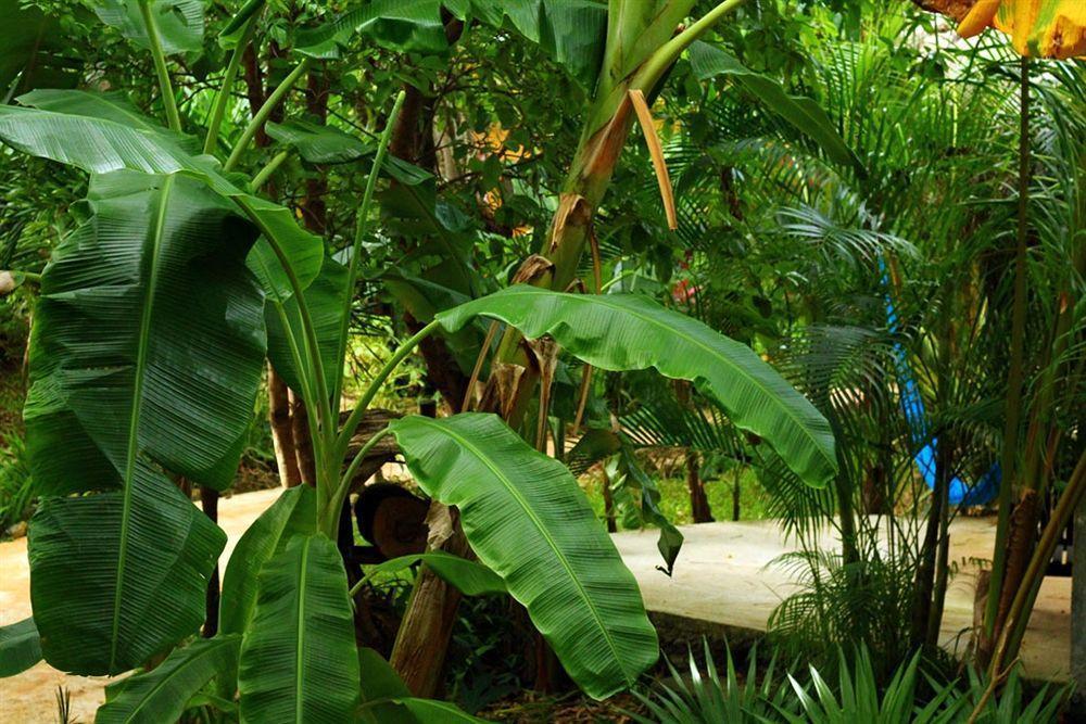 Bed and breakfast Casa Don Diego 3*