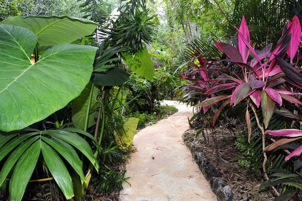 Bed and breakfast Casa Don Diego