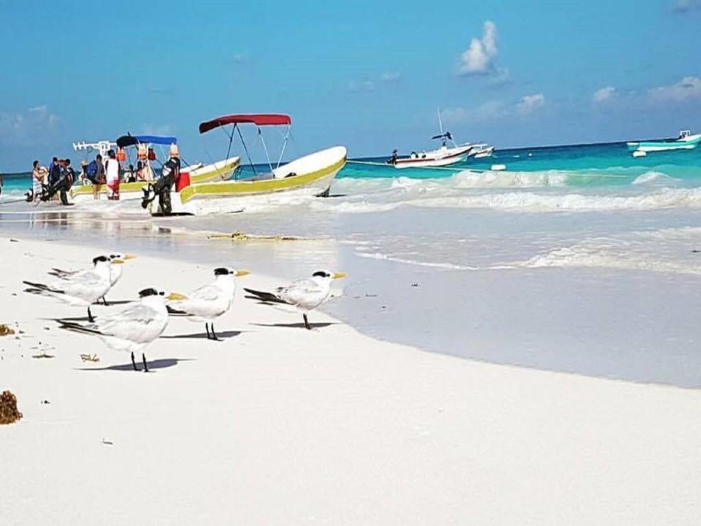 Camping Hippieschic Mexico Eco Glamping Tulum