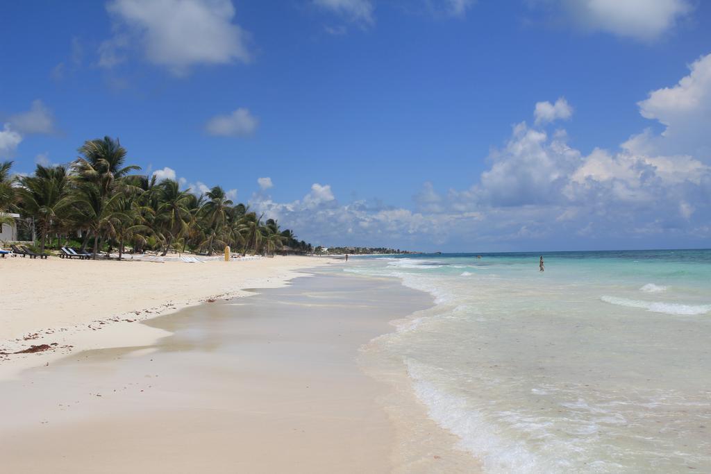 Hotel Yoga Shala 3*