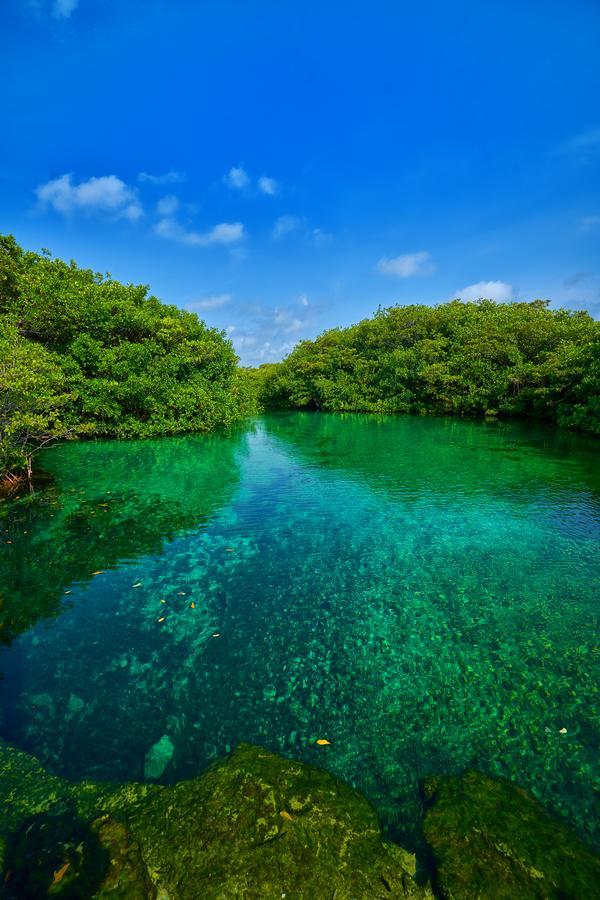 Casa Cenote *