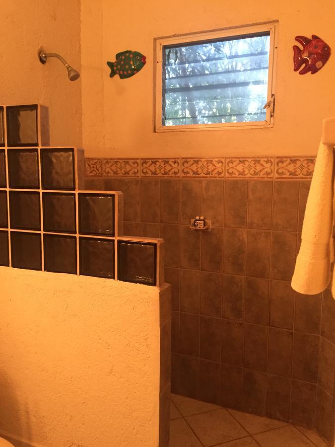 Casa Cenote *