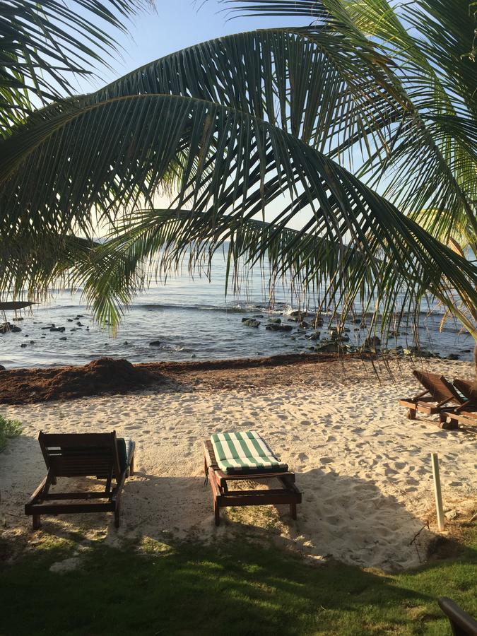 Bed and breakfast Casa Cenote *
