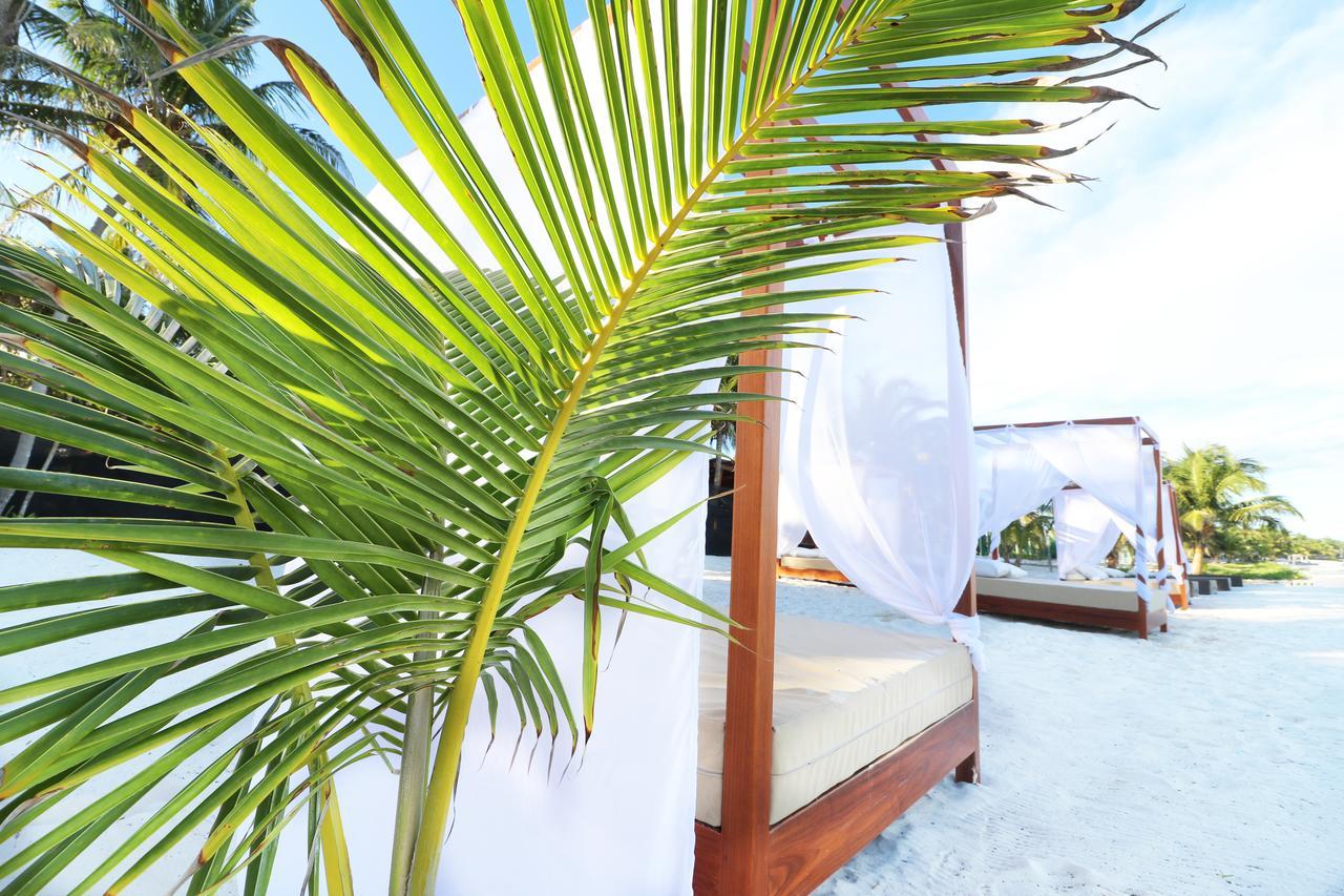 Amigos Boutique 4*