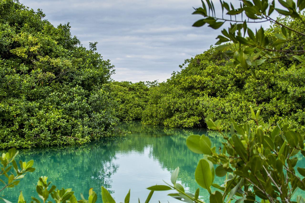Cielo Maya Tulum