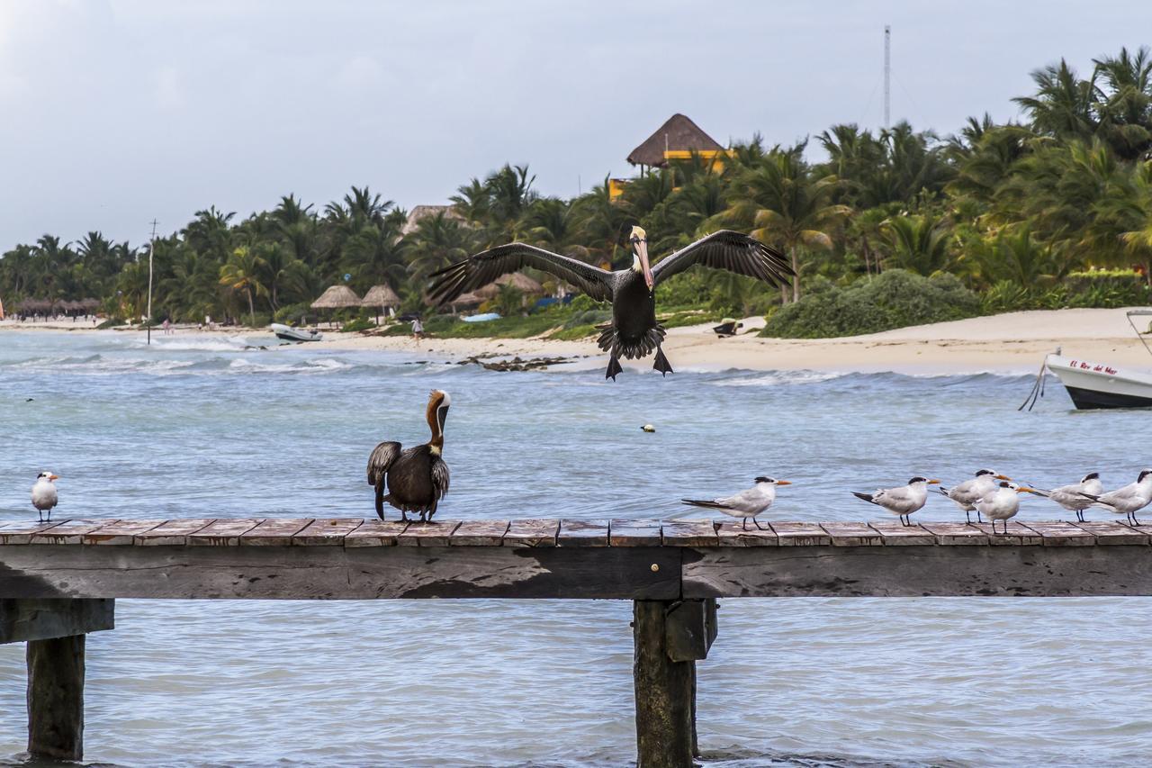 Hotel Cielo Maya 4*