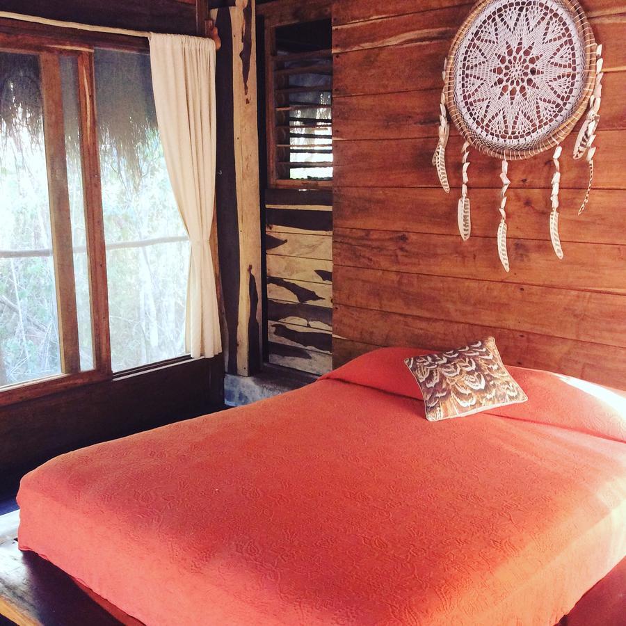 Bed and breakfast Escarabajo Rojo