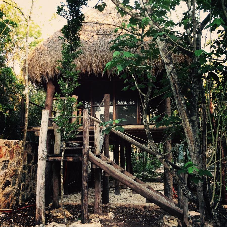 Bed and breakfast Escarabajo Rojo