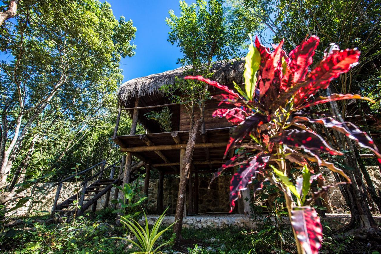 Escarabajo Rojo Bed and breakfast