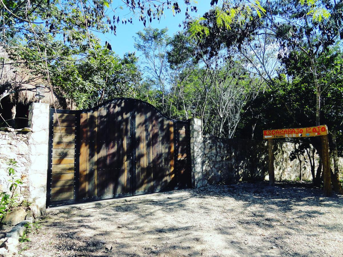 Escarabajo Rojo Bed and breakfast Tulum