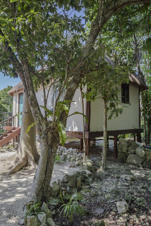 Zamna * Tulum