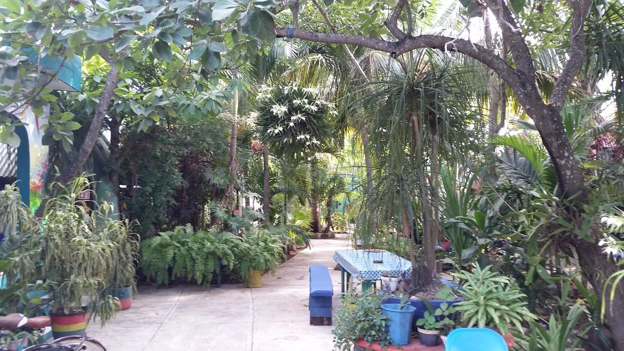 Rancho Tranquilo Hostal