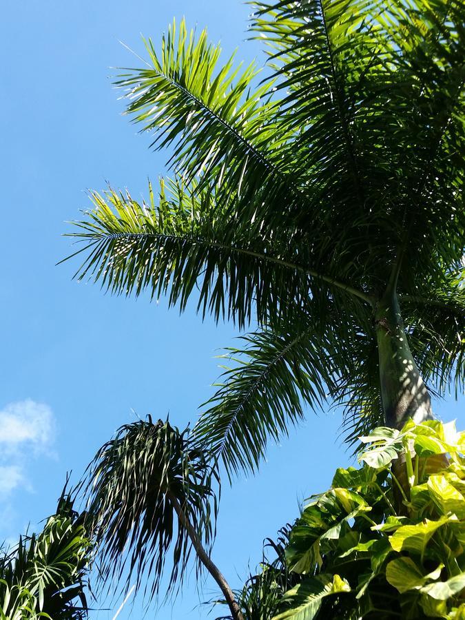 Rancho Tranquilo *