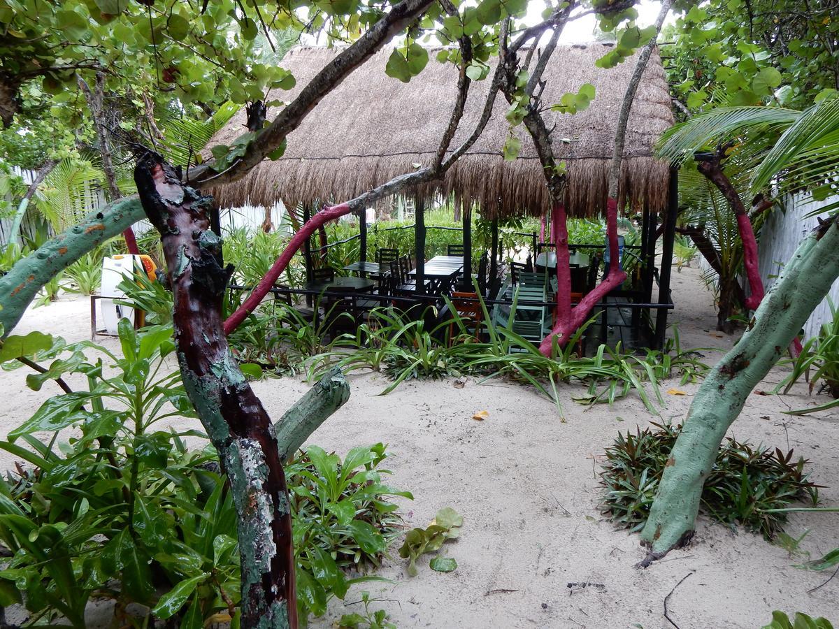 Chancabañita Bed and breakfast