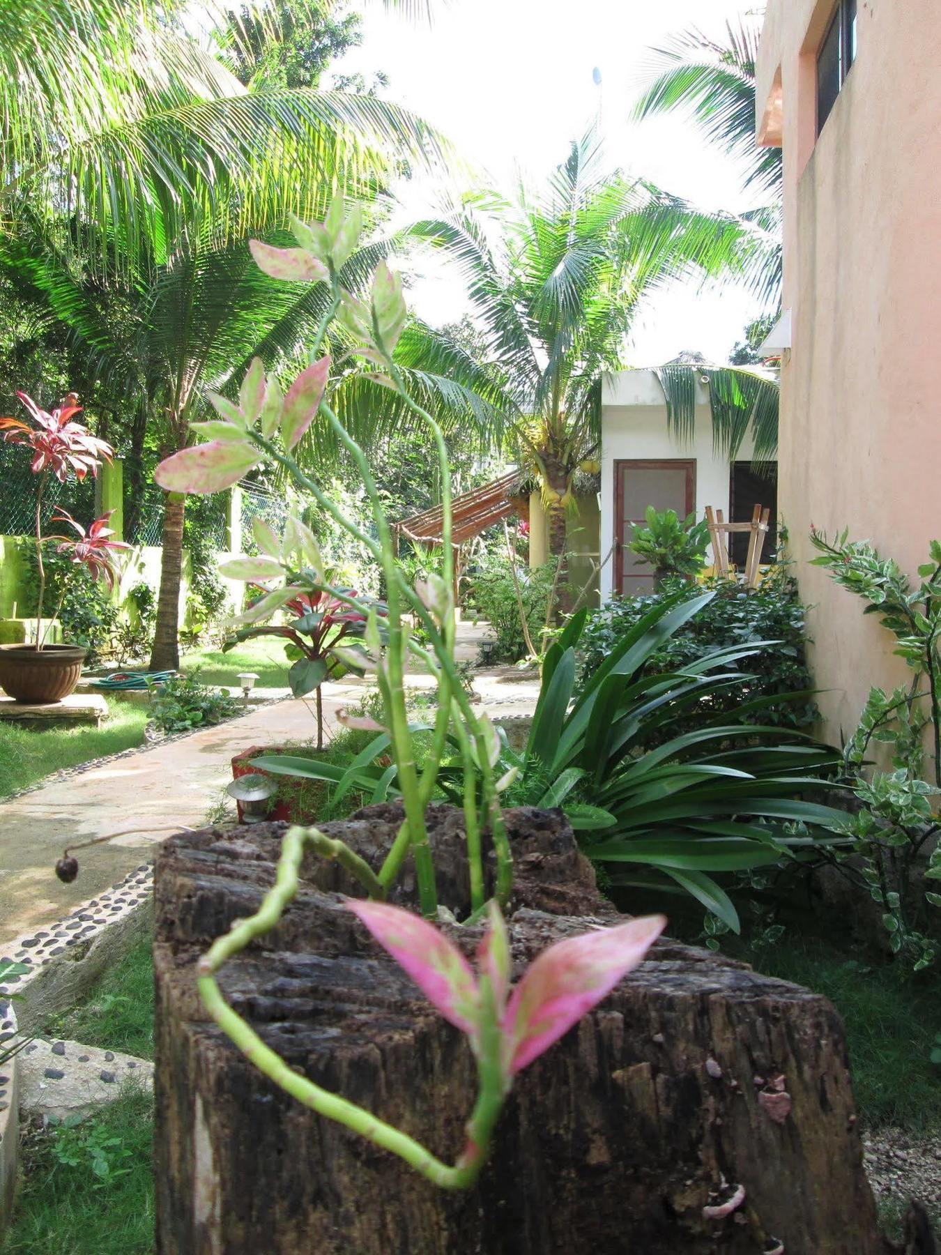 Zenaliza Bed and breakfast 3*