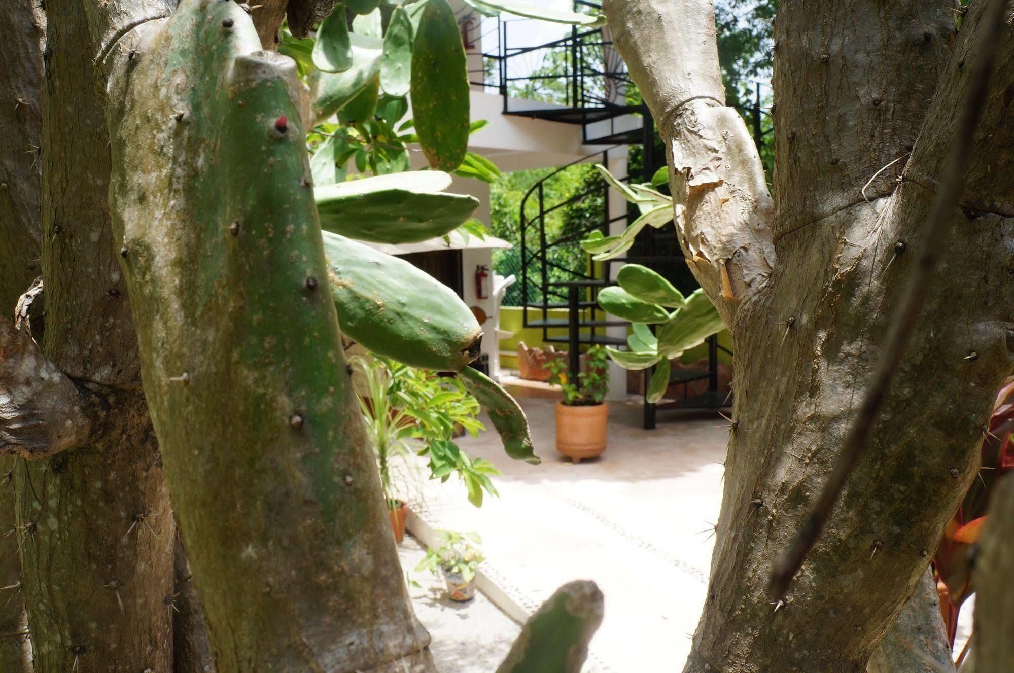 Bed and breakfast Zenaliza