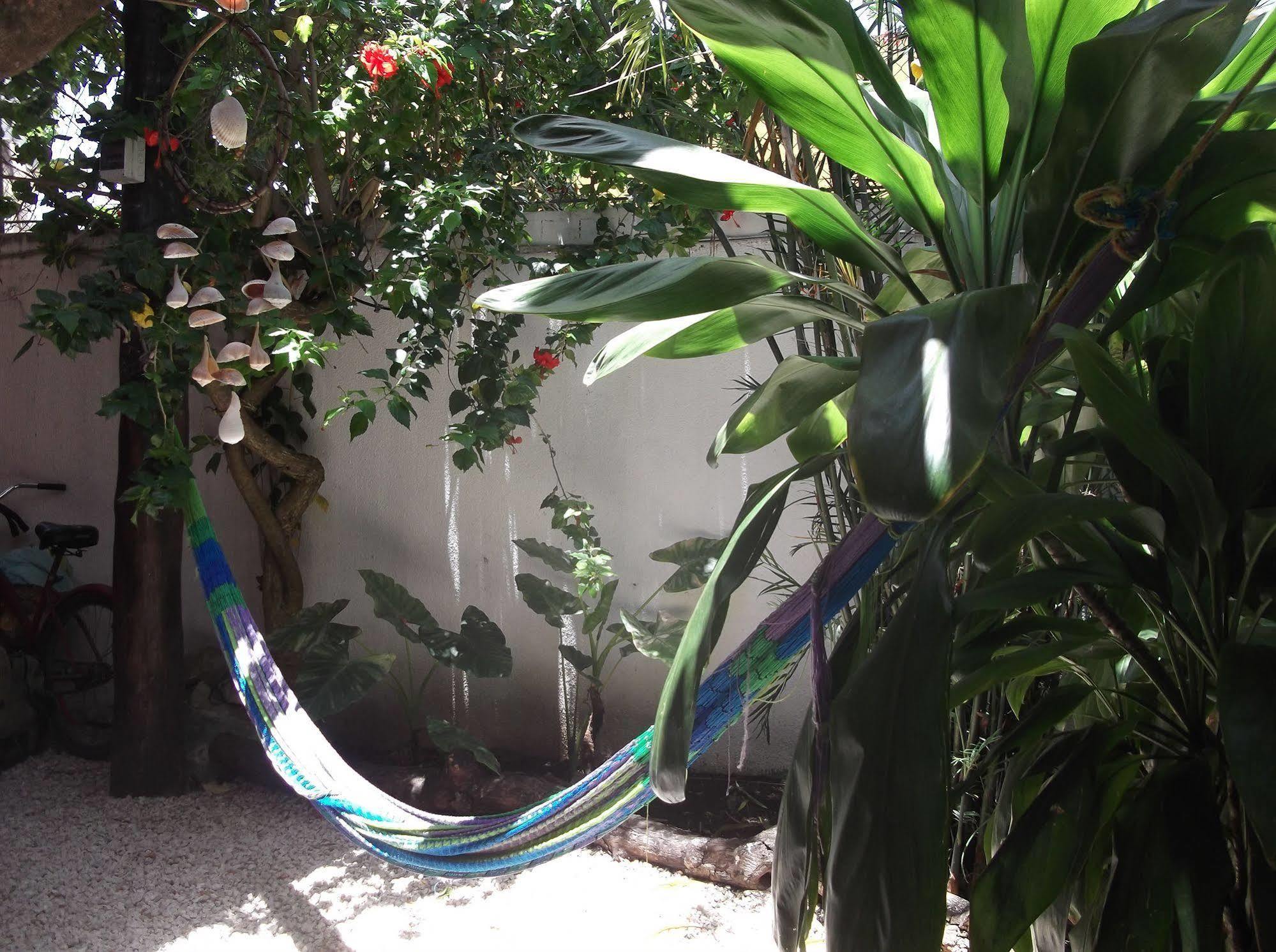 L Hotelito Hotel 3*