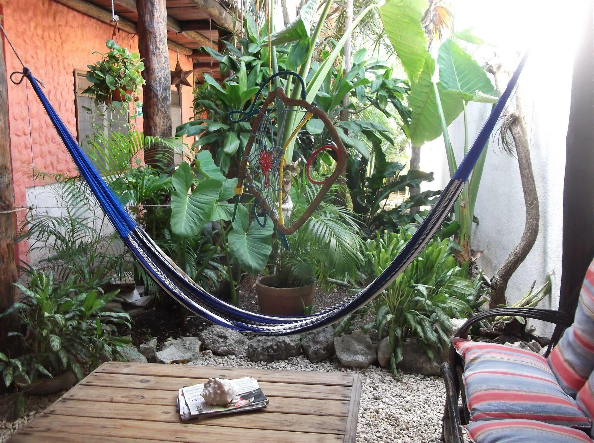 L Hotelito Hotel 3*