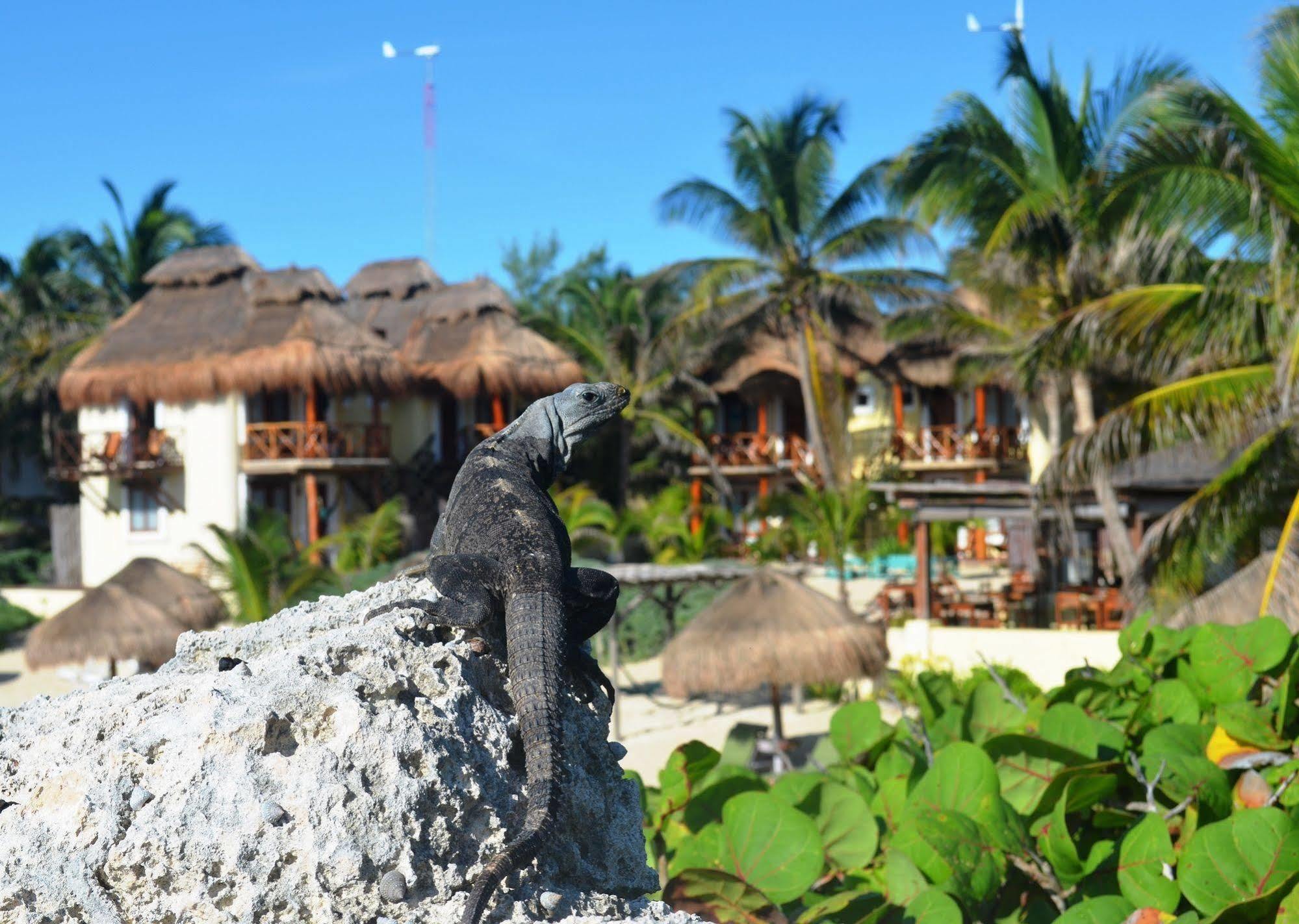 Piedra Escondida Hotel 3*