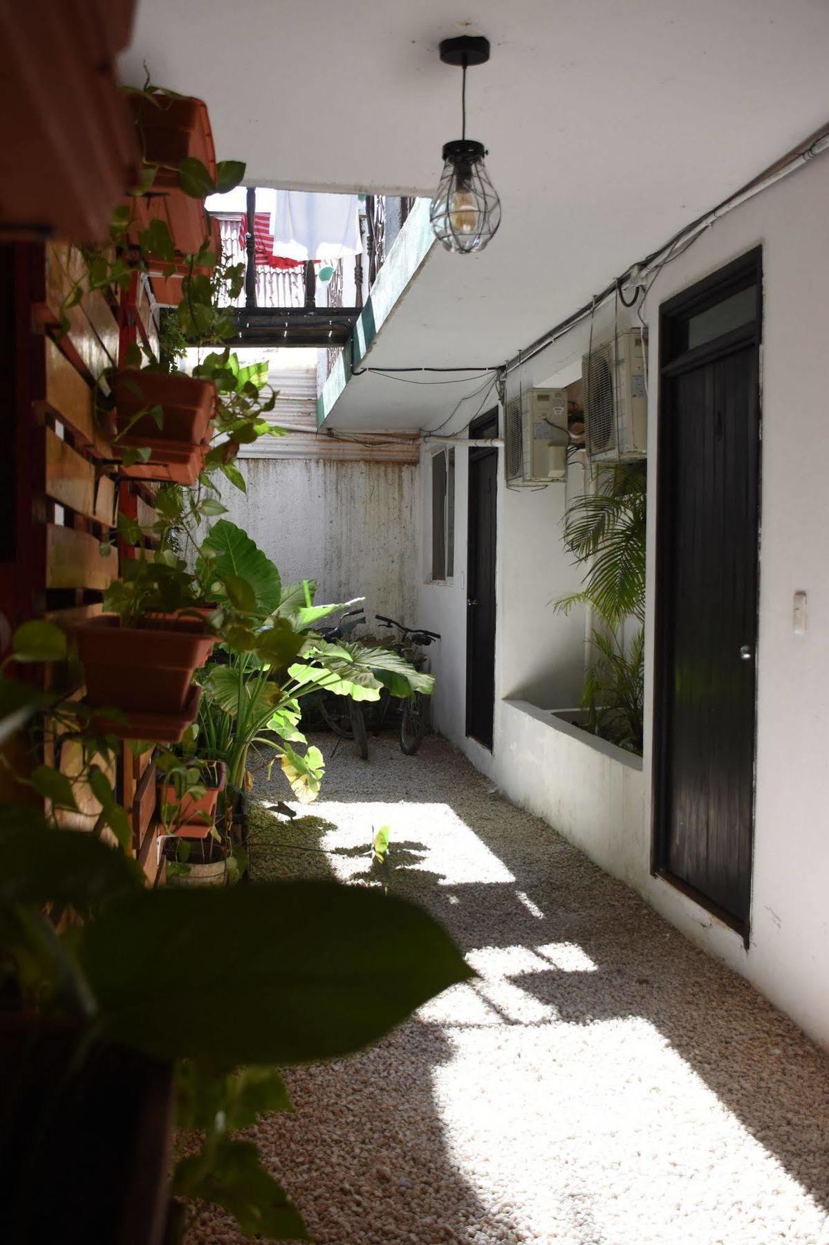 Emotion Avenida & Tulum