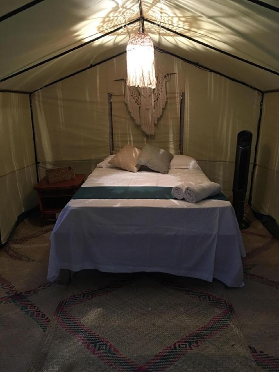 Hotel Uma Oceanfront 5*
