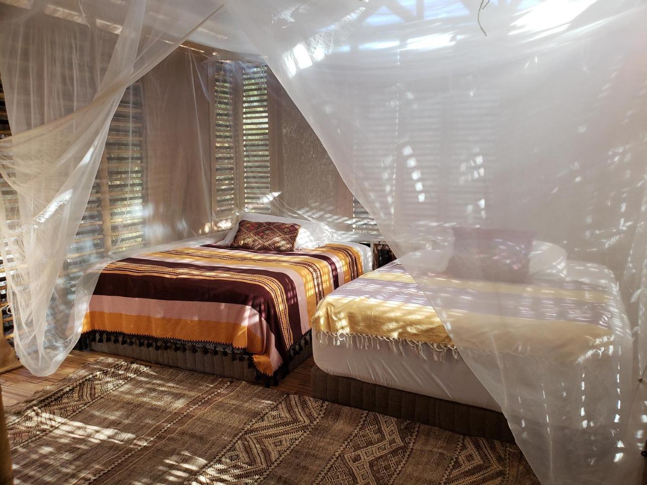 Aqua Viva Hotel 4*