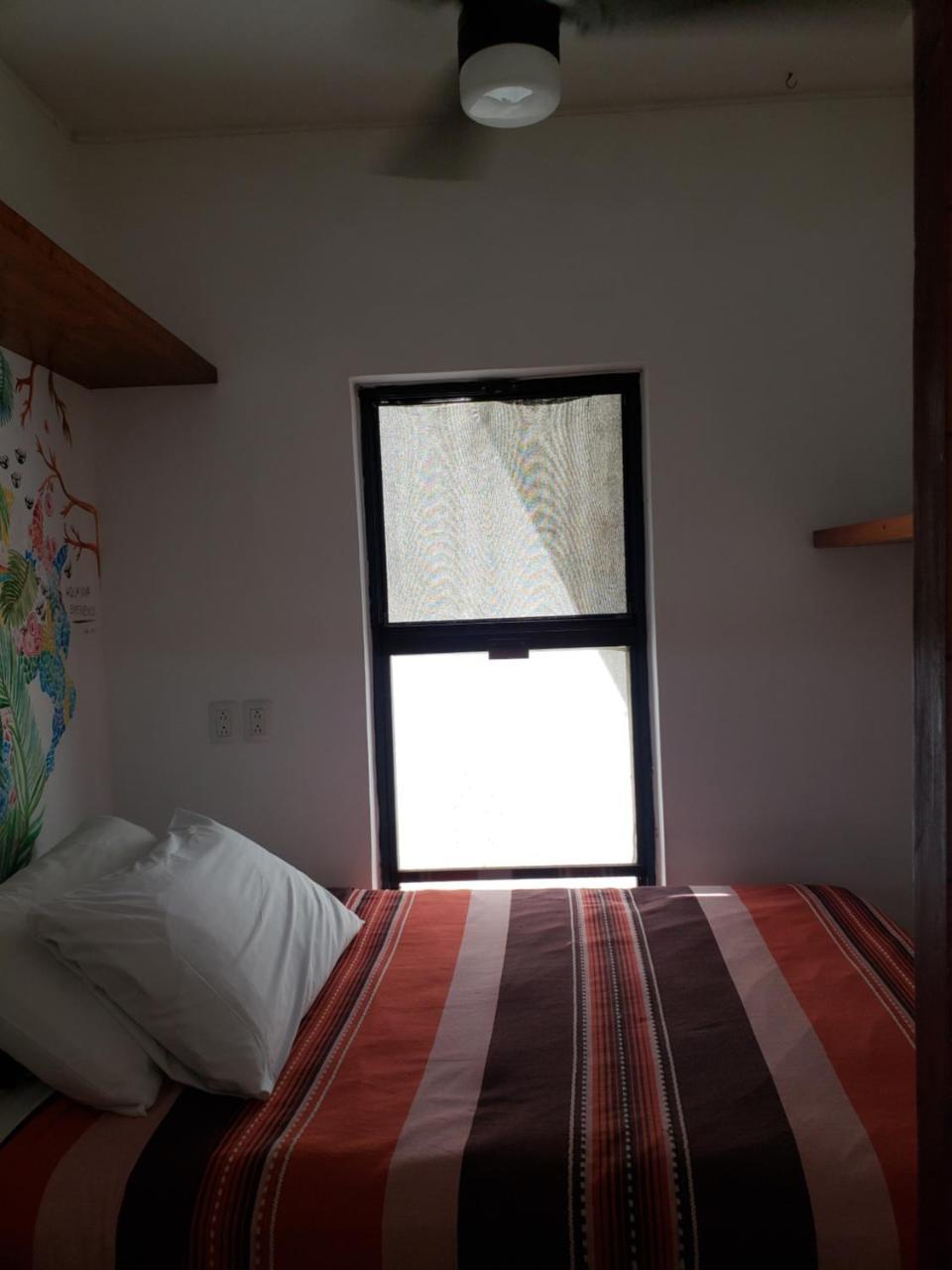 Aqua Viva Tulum