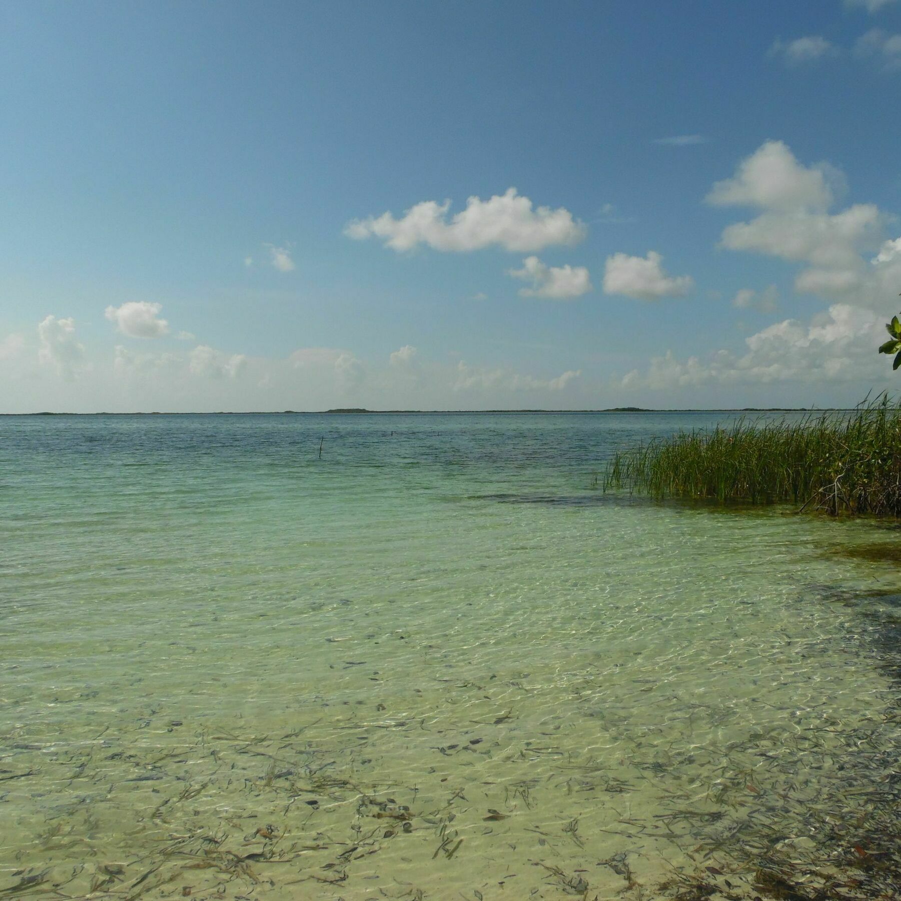 Kambulum Nature Eco-villas Hotel Tulum