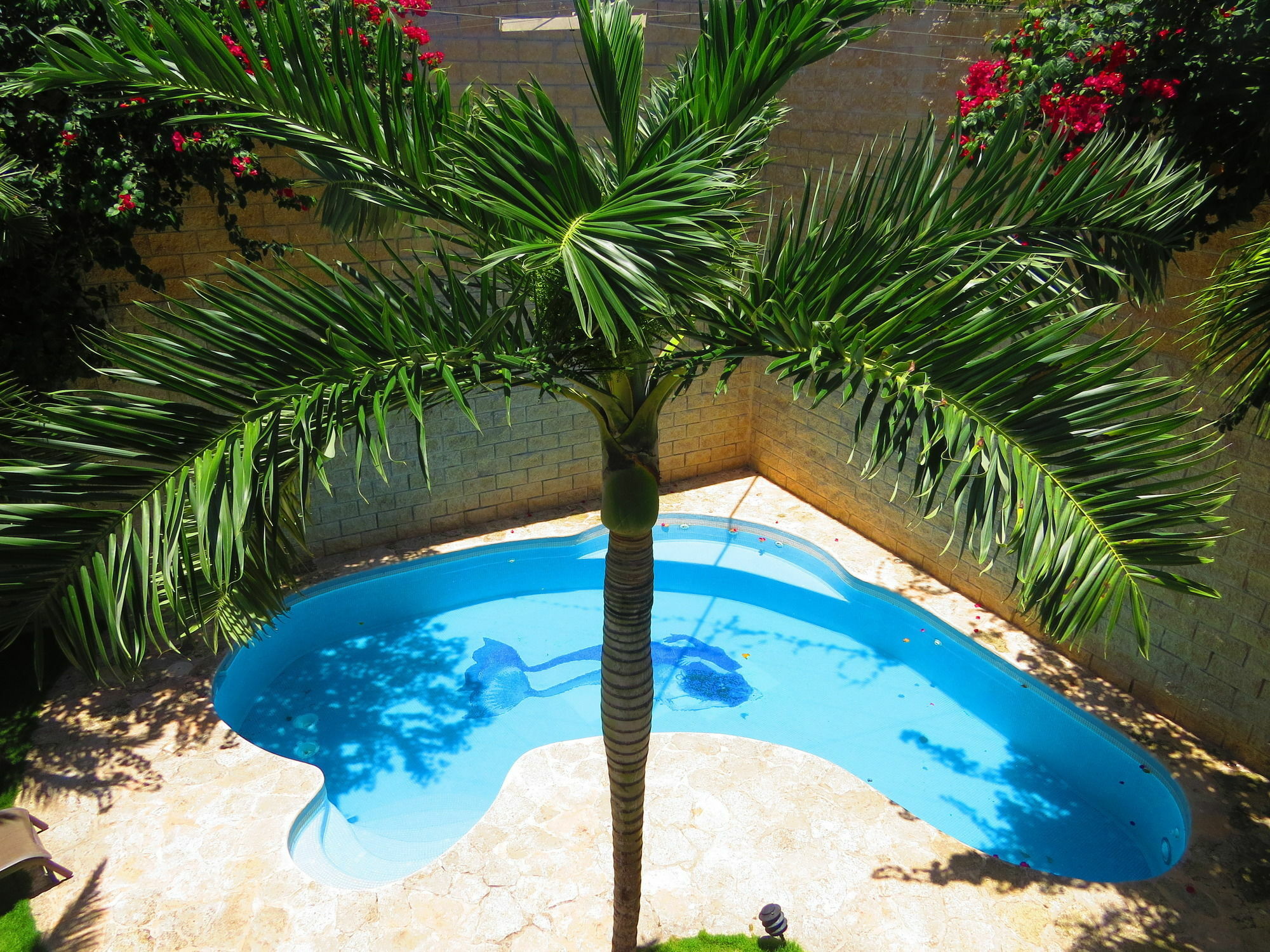 Hotel Xibalba Dive Center Tulum