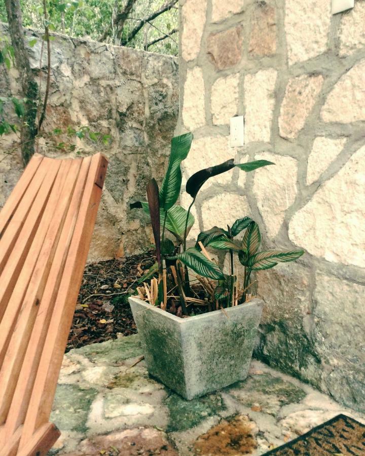 Escarabajo Rojo Bed and breakfast 2*