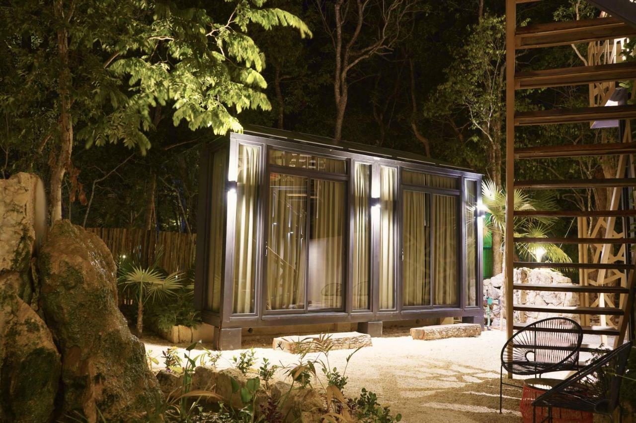 Bufo Alvarius Hotel Tulum