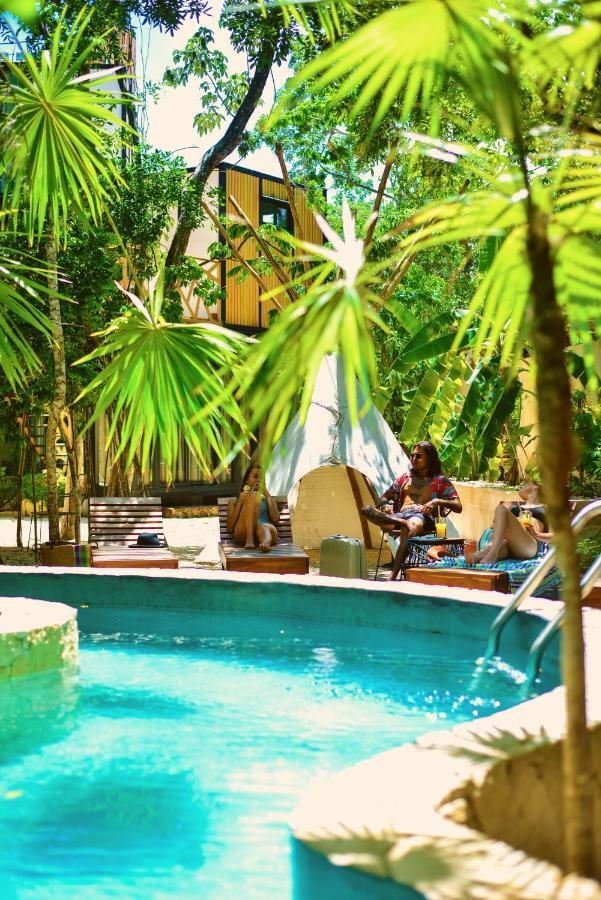 Bufo Alvarius Hotel