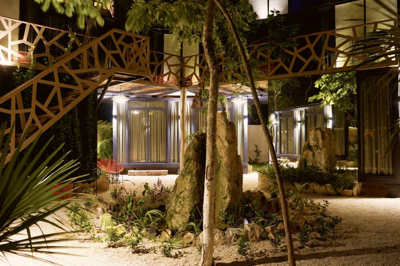 Bufo Alvarius 2* Tulum