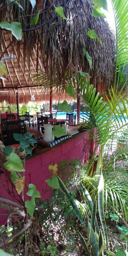 Casa Don Diego 3*
