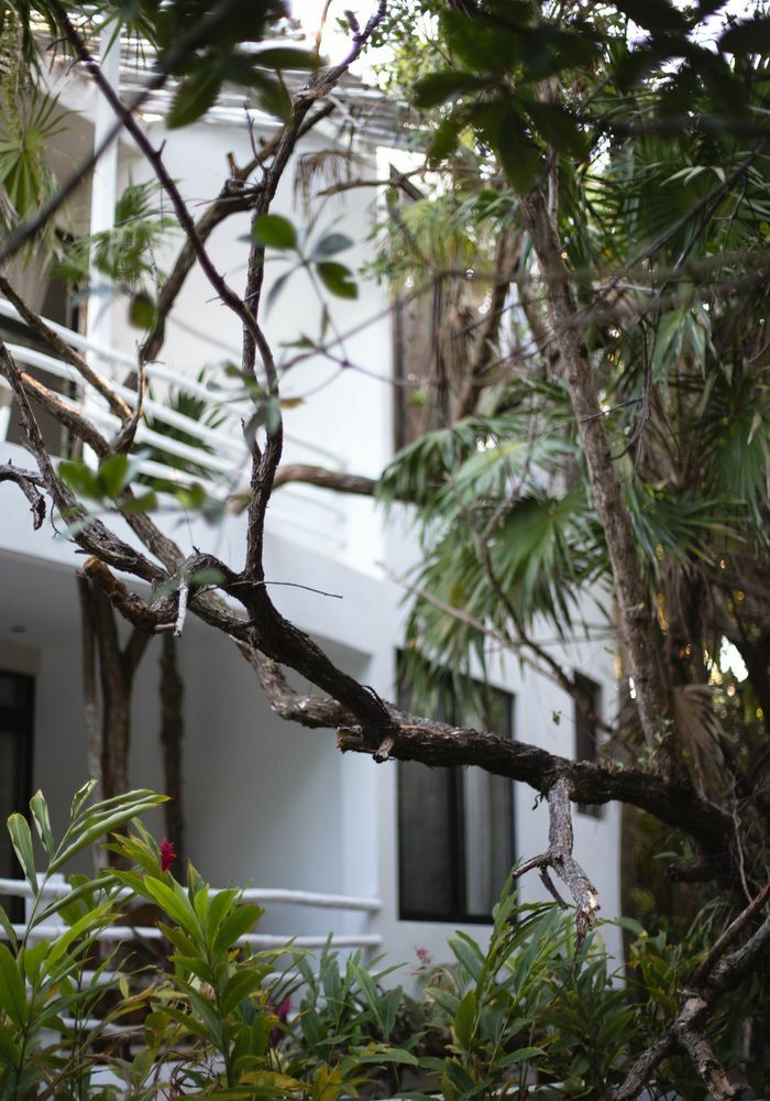 Casa Ambar Boutique (adults Only) Hotel 3*