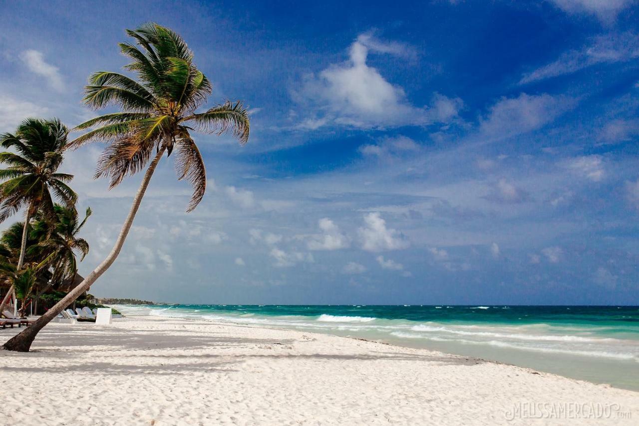 Jungle Luxury Experience - Selva Tulum