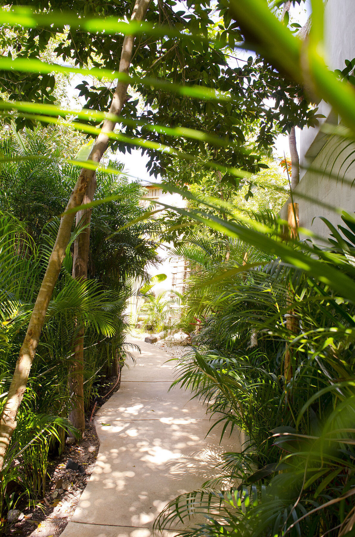 Apartamento Casa