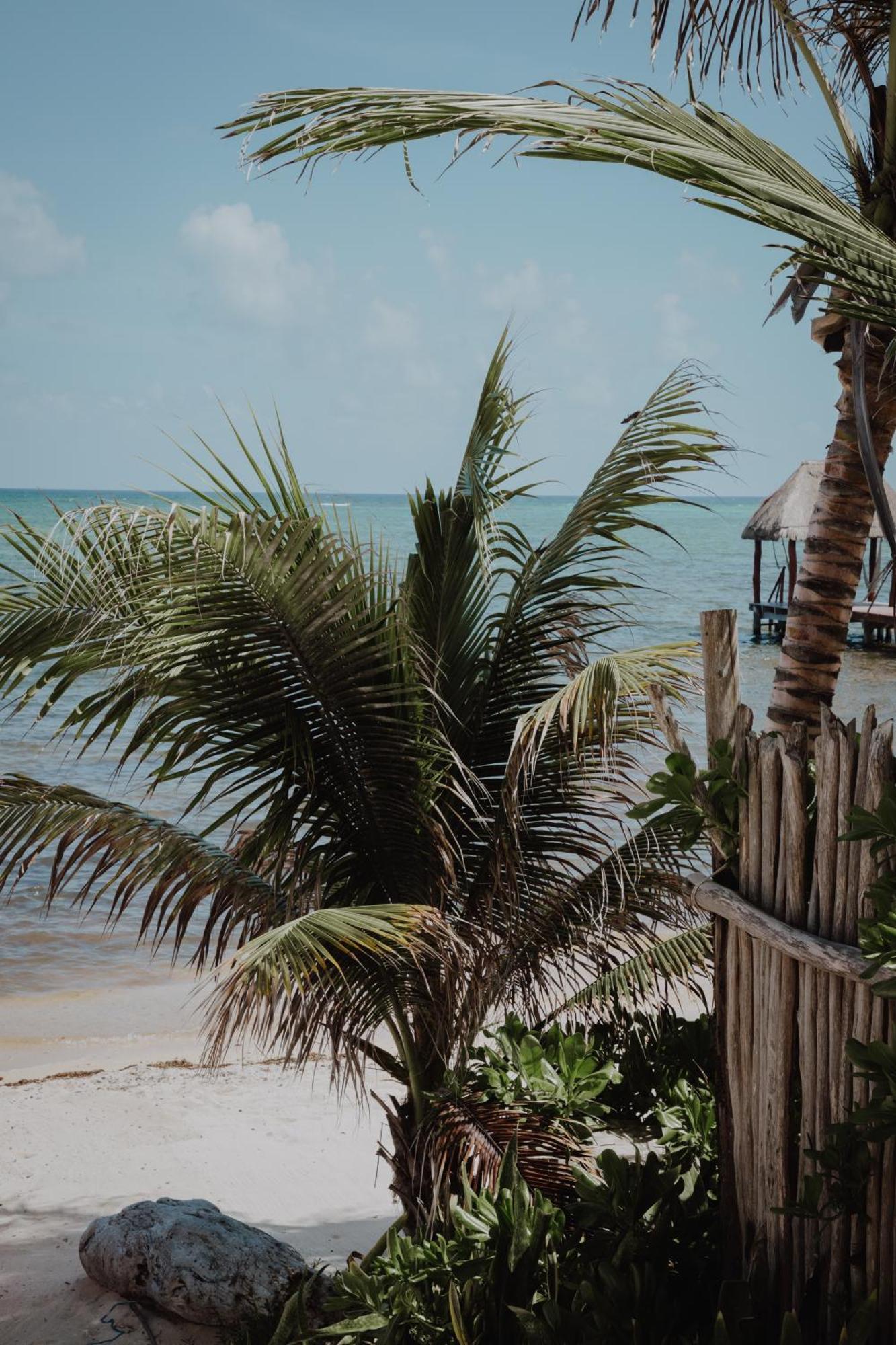 Cielo Maya Hotel Tulum